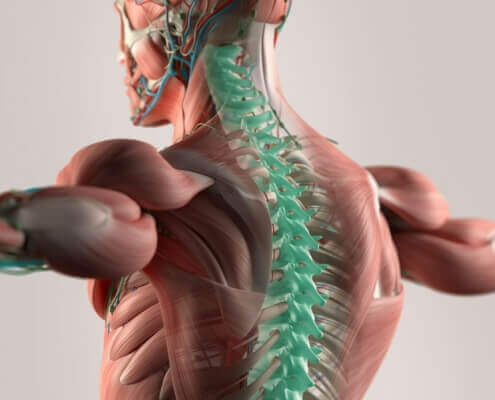 Chiropractic Care Naperville