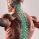 Chiropractic Care Naperville