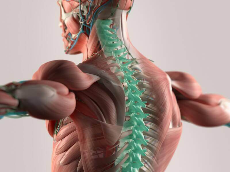 Chiropractic Care Naperville