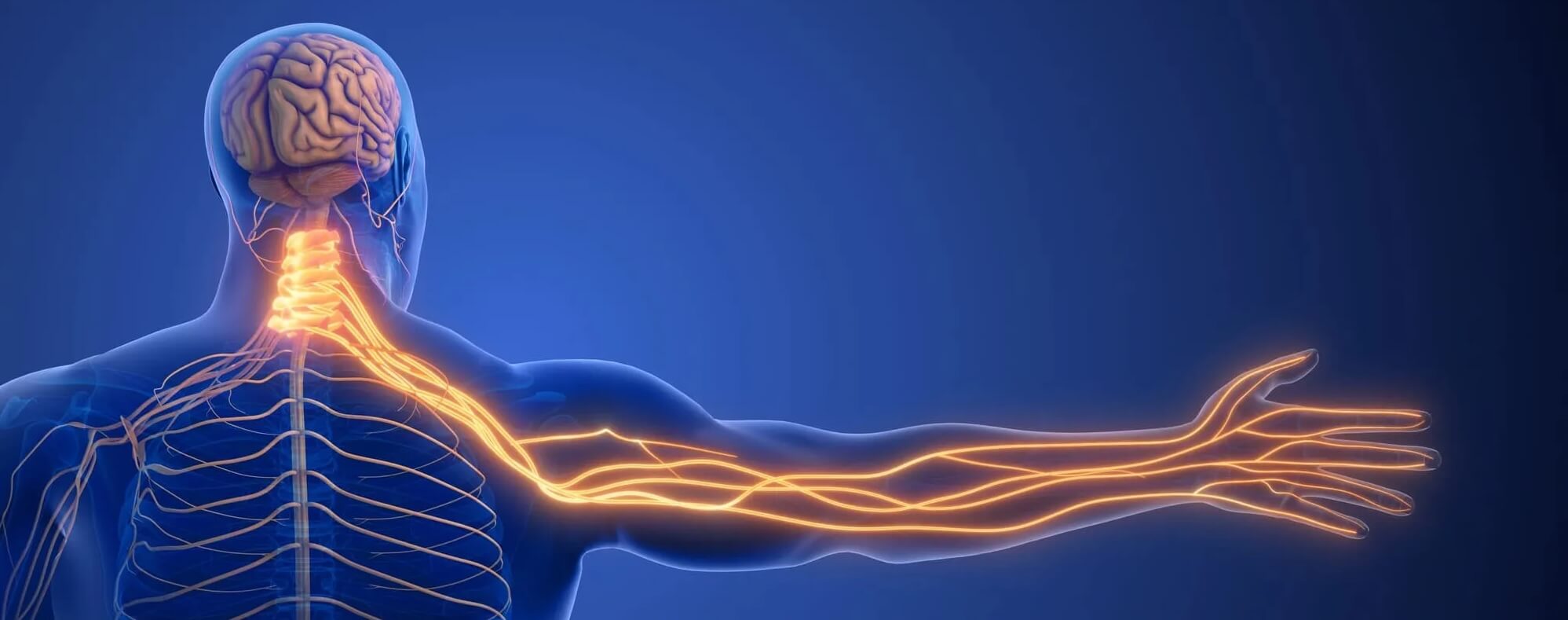 Cervical Decompression for Arm Pain & Numbness in Naperville IL ...