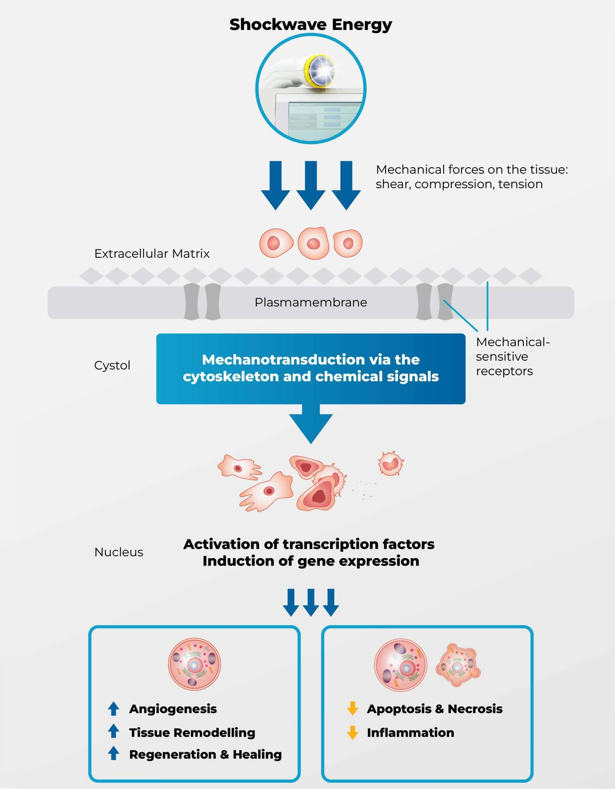 Stem Cell Therapy Naperville
