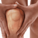 what are the best treatments for meniscus injuries in naperville il