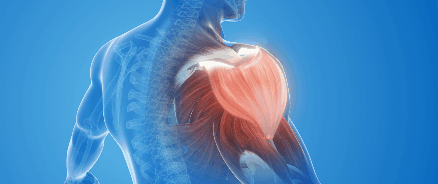 Tired of Shoulder Pain - Synergy Institute Acupuncture and Chiropractic in naperville can help
