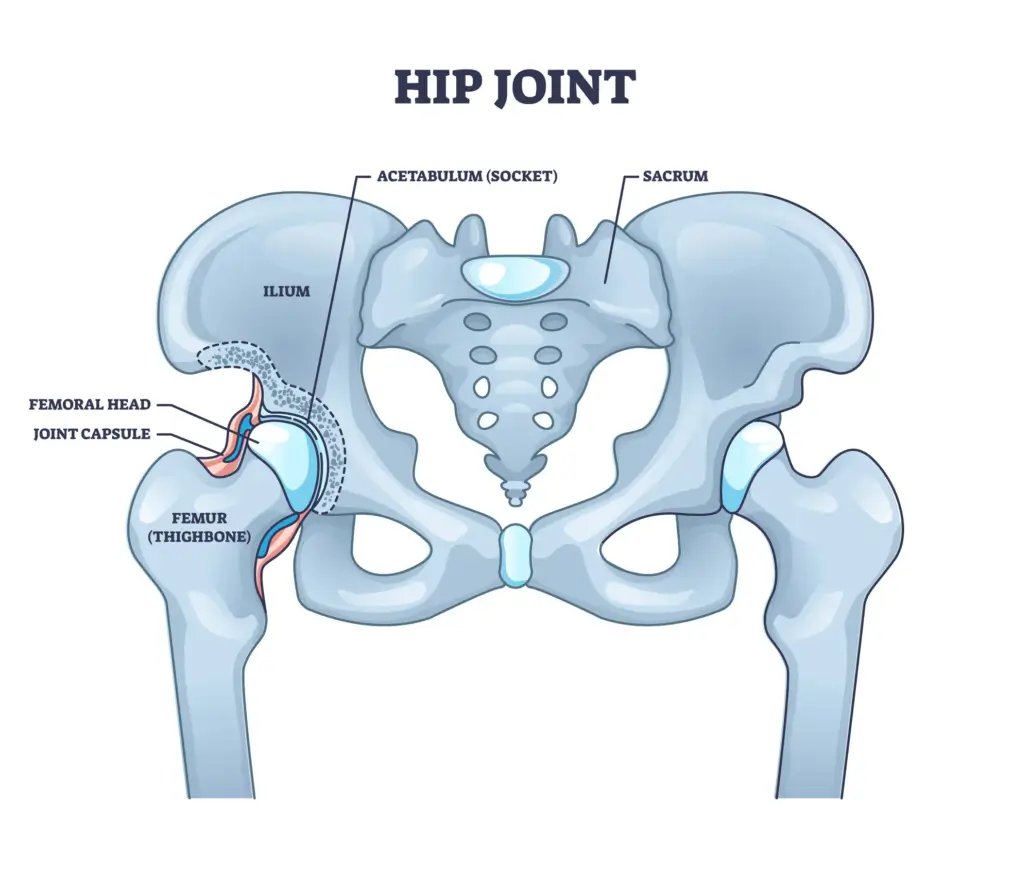 Elbow Pain Treatment Naperville